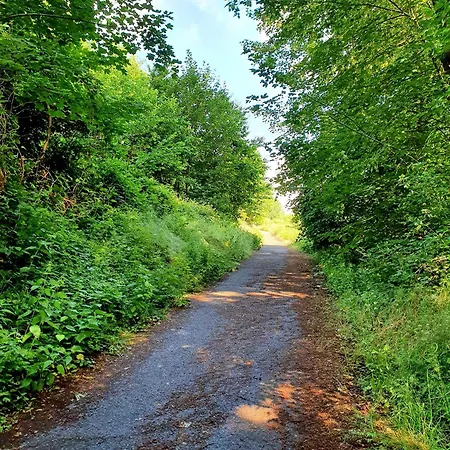 Sonnenschein Mit Pool