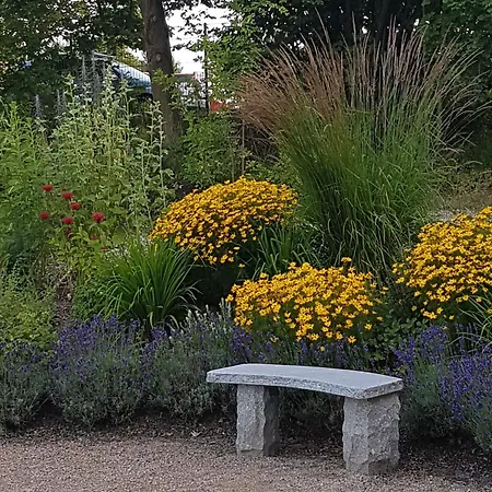 Sonnenschein Mit Pool