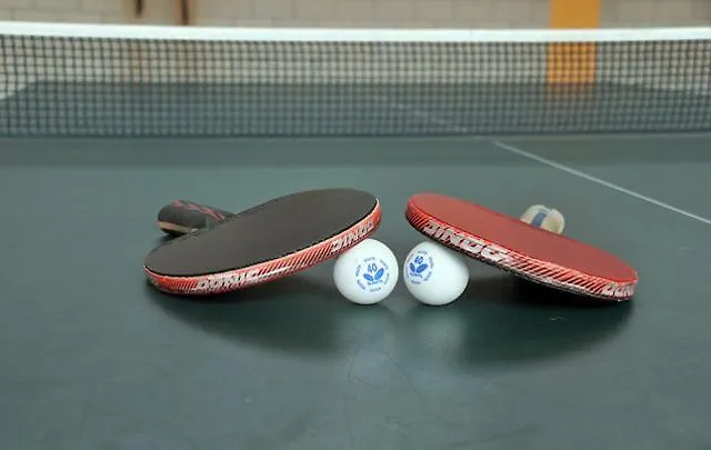 Sonnenschein Mit Pool *