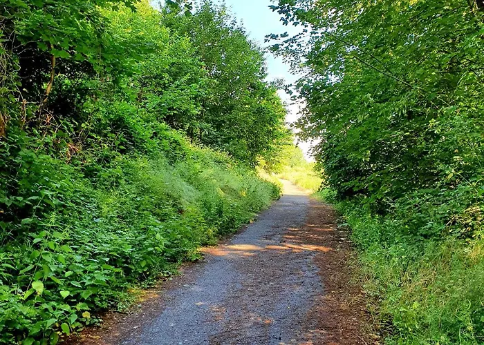 Sonnenschein Mit Pool