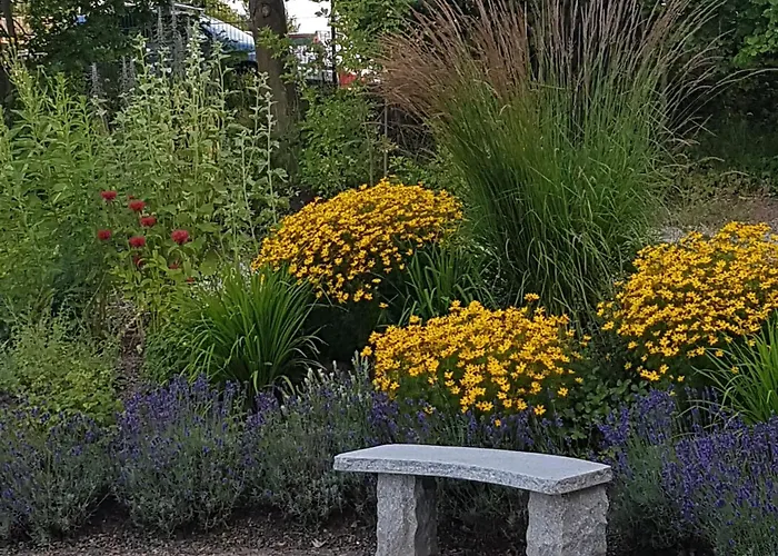 Sonnenschein Mit Pool